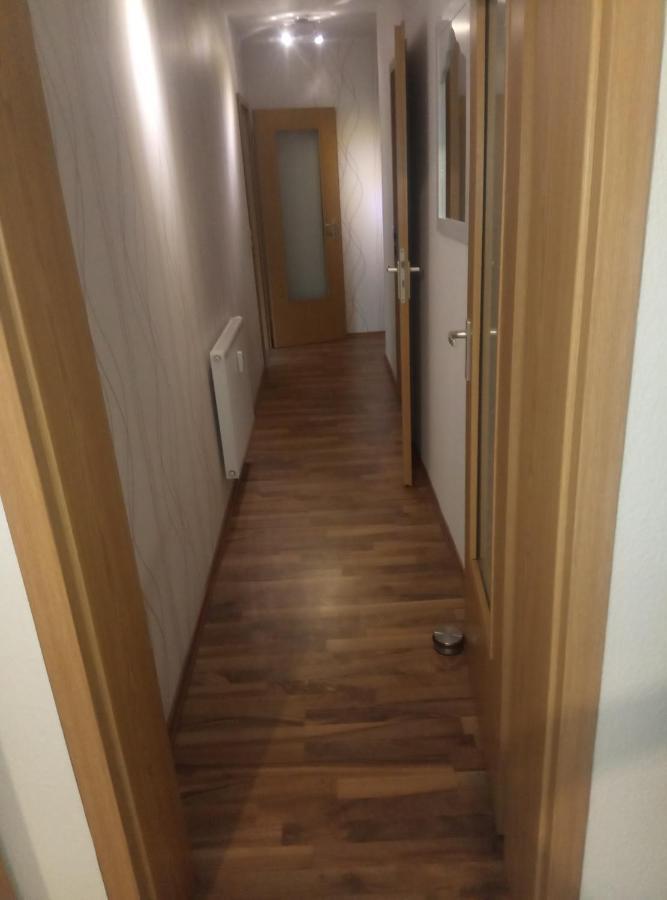 Ferienwohnung Rickyy Reichenbach im Vogtland Exterior foto
